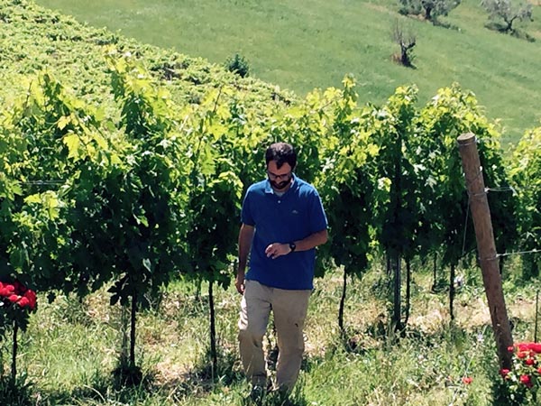 Azienda Agricola Ausonia