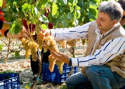 Azienda Agricola Durin