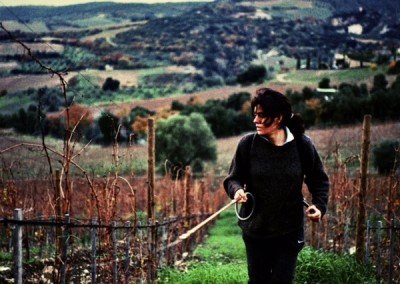 Azienda Agricola Stella di Campalto