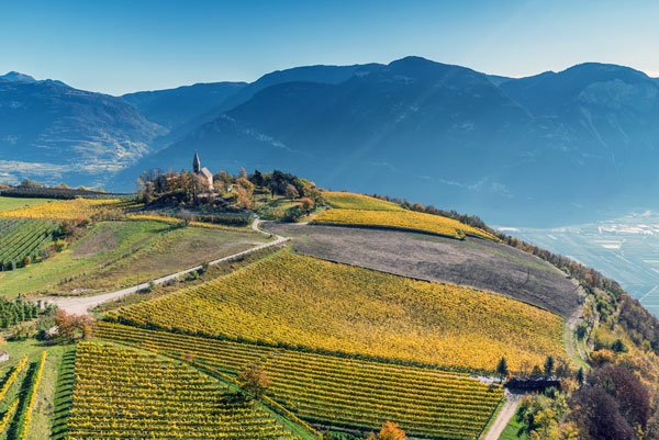 Alto Adige’s Kurtatsch at Great Wines of Italy Beverly Hills