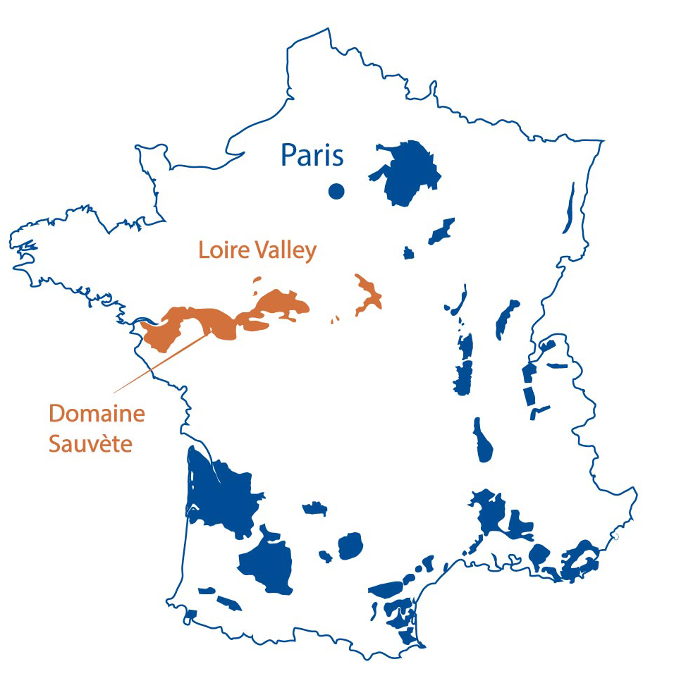 Domaine Sauvete Loire Valley North Berkeley Imports