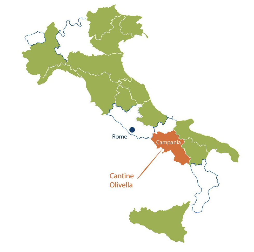 Cantine Olivella Campania North Berkeley Imports
