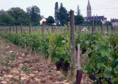 Domaine Pastou