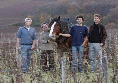 Domaine Arlaud Père et Fils