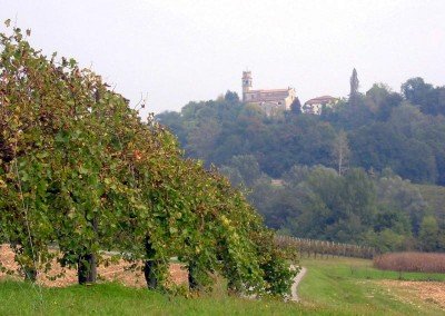 Azienda Agricola Ca’Vittoria