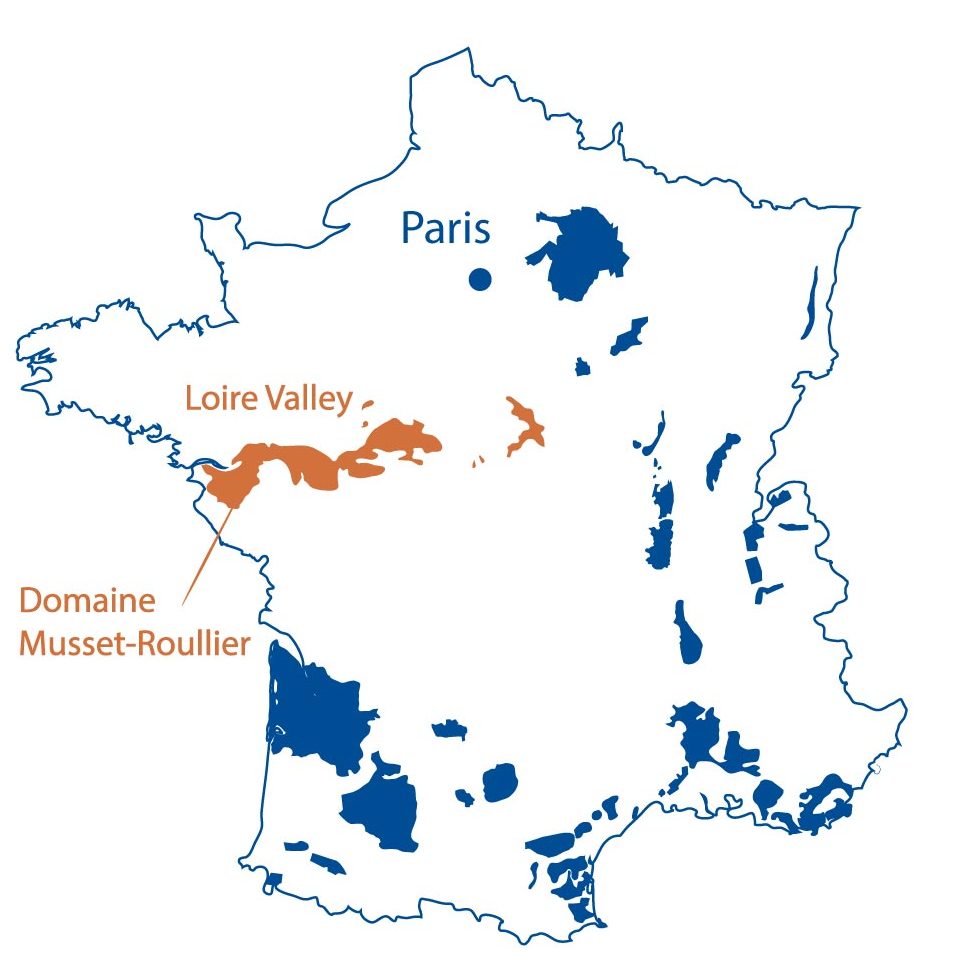 Domaine Vincent Dureuil Janthial Burgundy France