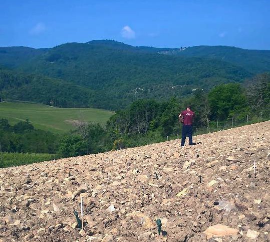 Radda in Chianti Rising! L’Erta di Radda