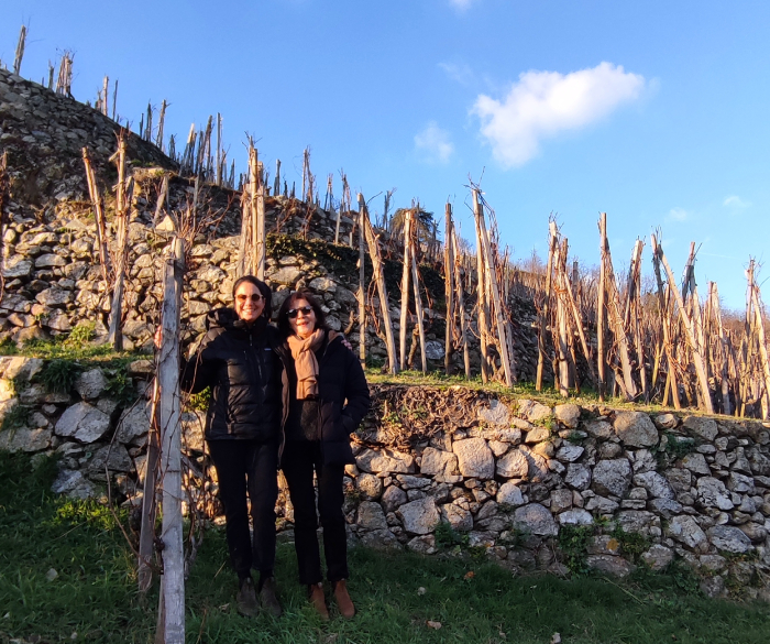Domaine Vernay