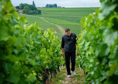 Domaine Jean-Claude Martin