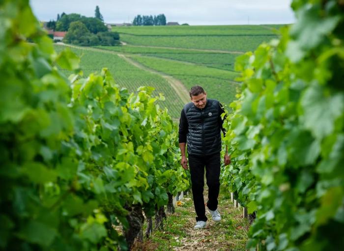 Domaine Jean-Claude Martin