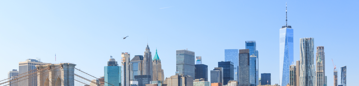 nyskyline_narrow_portfolio new york skyline