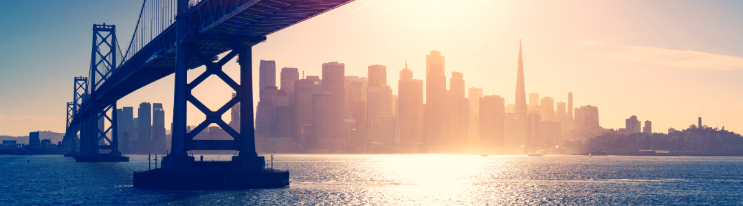 sfskyline_narrow_portfolio