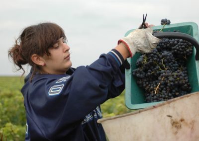 Château Moulin de Blanchon | Fleuron de Liot