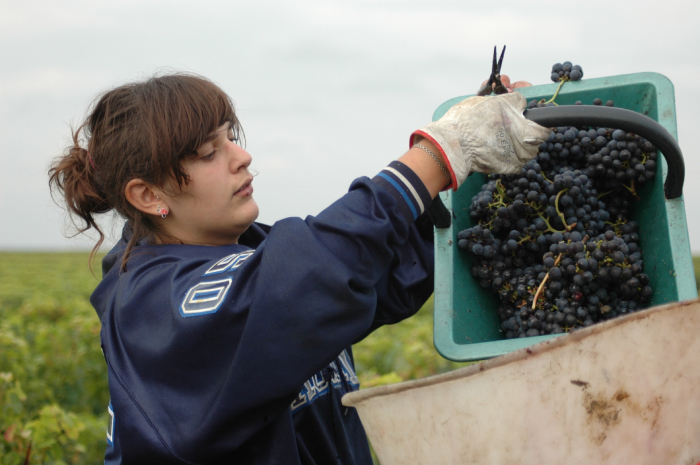 Château Moulin de Blanchon | Fleuron de Liot