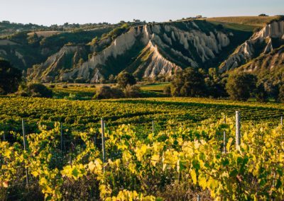 Azienda Agricola Zappacosta