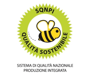 logo for SQNPI